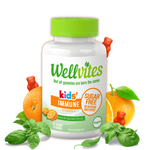 Wellvites Kids Immune guumies, vitamin c gummy vitamin, sugar free, vegan