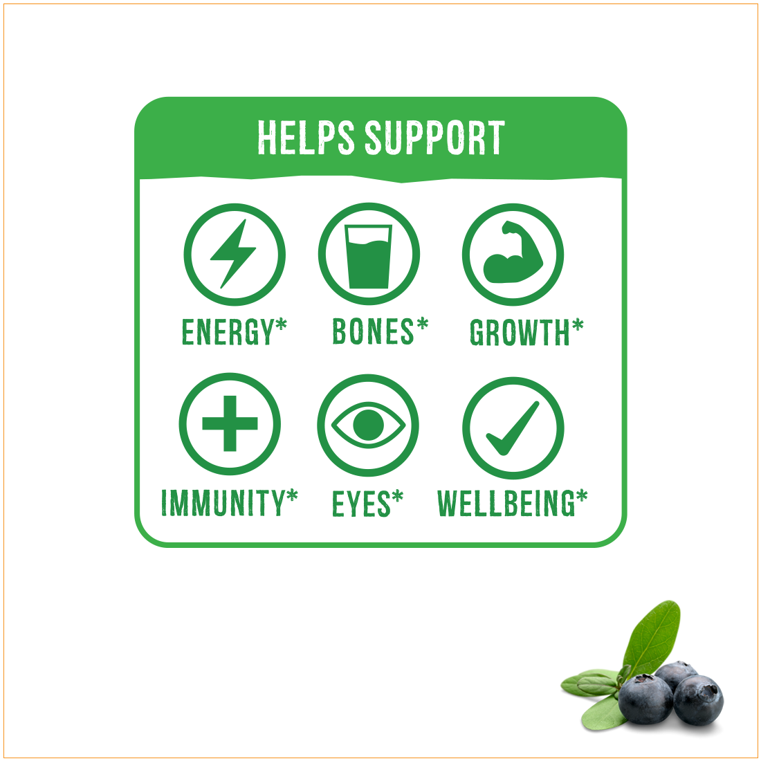 WellVites Kids' Multivitamins Complete Sugar Free Gummies - WellVites